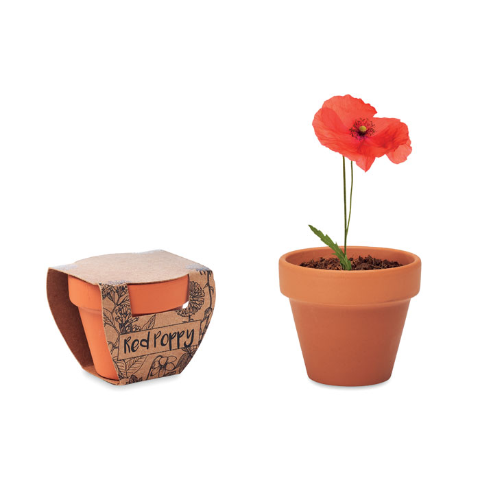 Pot à graines de coquelicot personnalisé - Flora